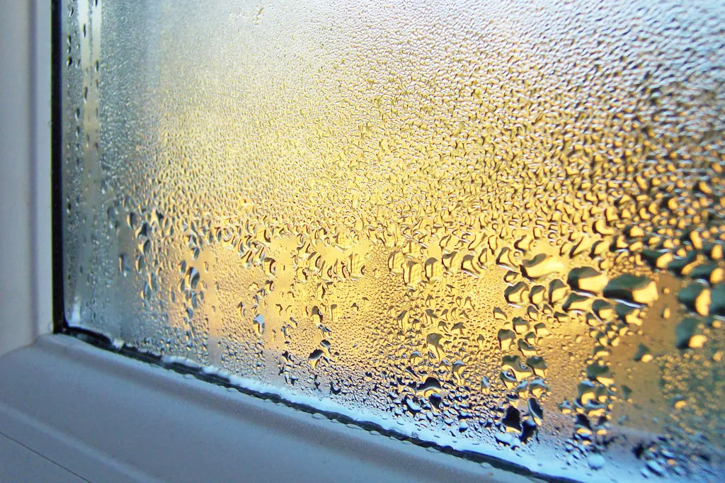 Condensation and mould on wall